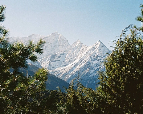 Mountain landscape through trees